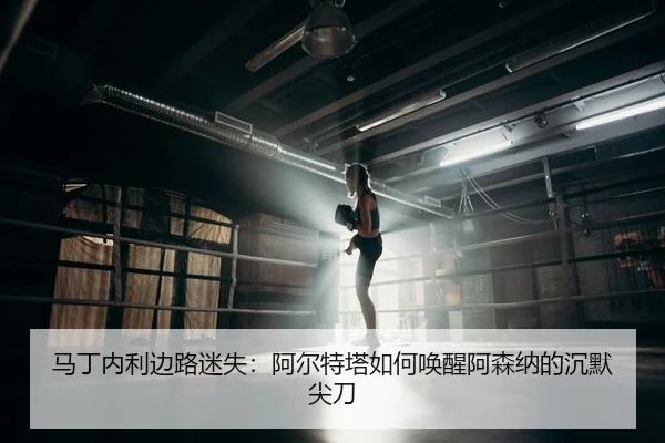 ma-ding-nei-li-bian-lu-mi-shi-a-er-te-ta-ru-he-huan-xing-a-sen-na-de-chen-mo-jian-dao-2-489.jpg