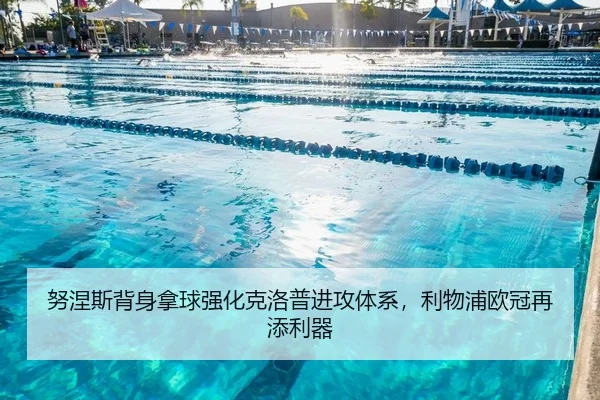 nu-nie-si-bei-shen-na-qiu-qiang-hua-ke-luo-pu-jin-gong-ti-xi-li-wu-pu-ou-guan-zai-tian-li-qi-2-935.jpg