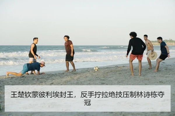 王楚钦蒙彼利埃封王，反手拧拉绝技压制林诗栋夺冠（PG）